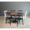 Silla Windsor de plastico